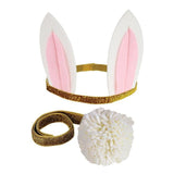 Bunny Dress-Up Kit